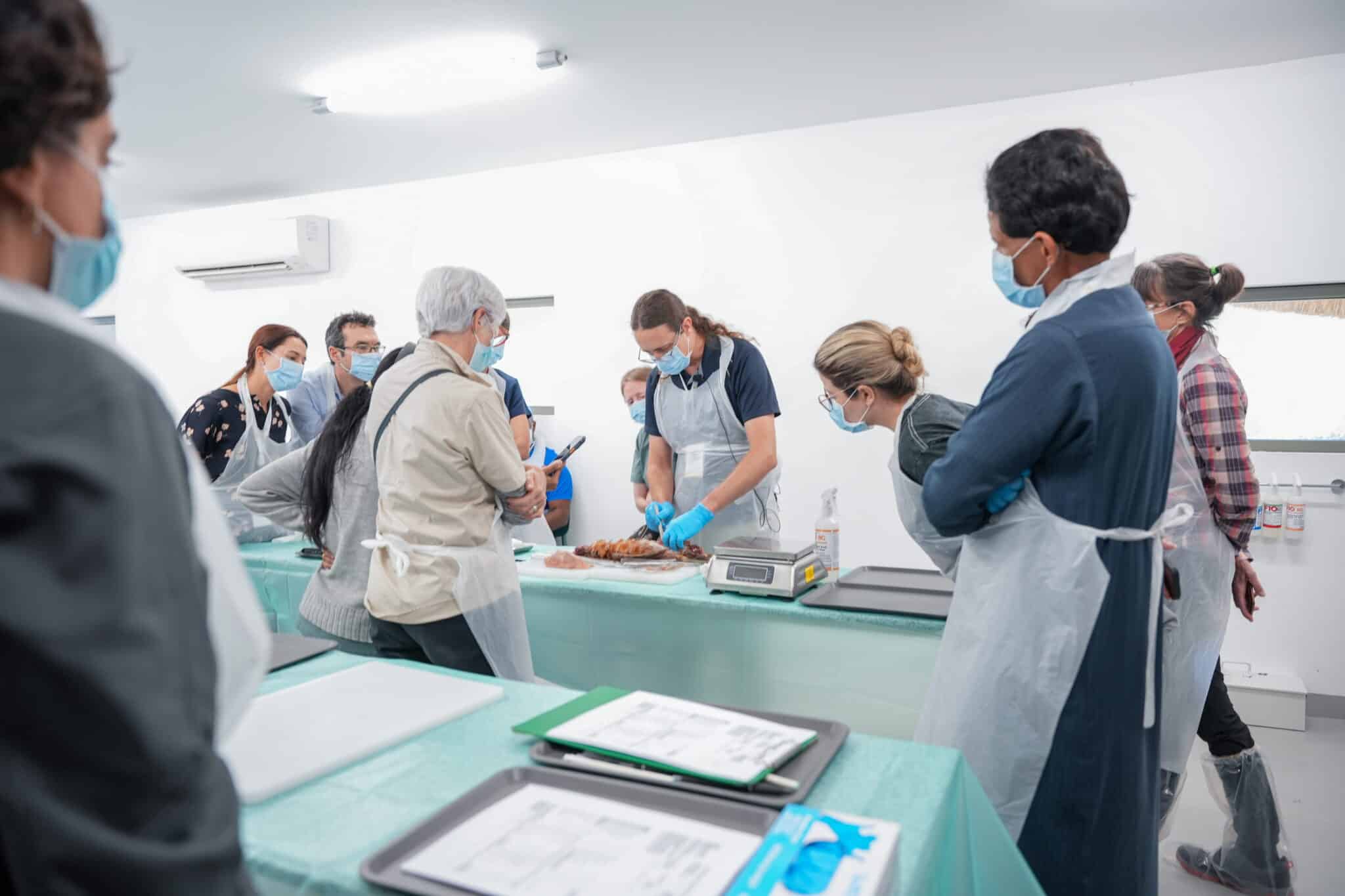 منتدى الشارقة للتنوع الحيوي يوصي باستخدام الذكاء الاصطناعي لمكافحة الأنواع الغازية